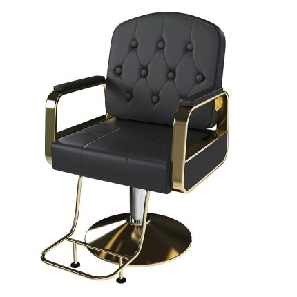 Hydraulic Salon Chair 360° Swivel - Professional Barber Stylist Chair with Pump, Non-Tilting Hairdressing Chair for Salon Tattoo Spa, Black Gold Stylist Equipment (Single Pack)