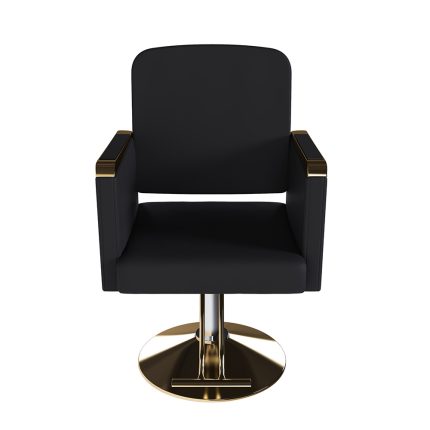 Hydraulic Salon Chair 360° Swivel - Professional Barber Stylist Chair with Pump, Non-Tilting Hairdressing Chair for Salon Tattoo Spa, Black Gold Stylist Equipment (Single Pack)